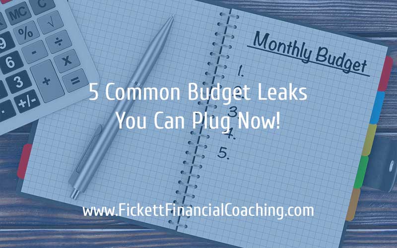 5 Common Budget Leaks You can Plug Now!